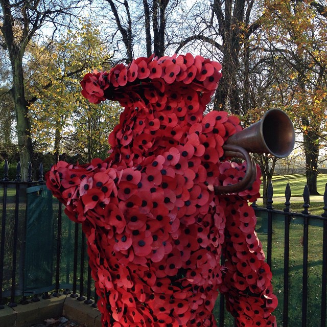 Poppy bugler in Lisburn for Remembrance Day #weshallrememberthem