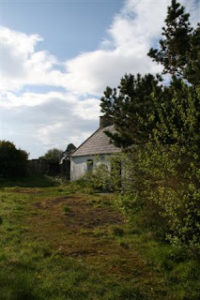 abandonned cottage janmary blog