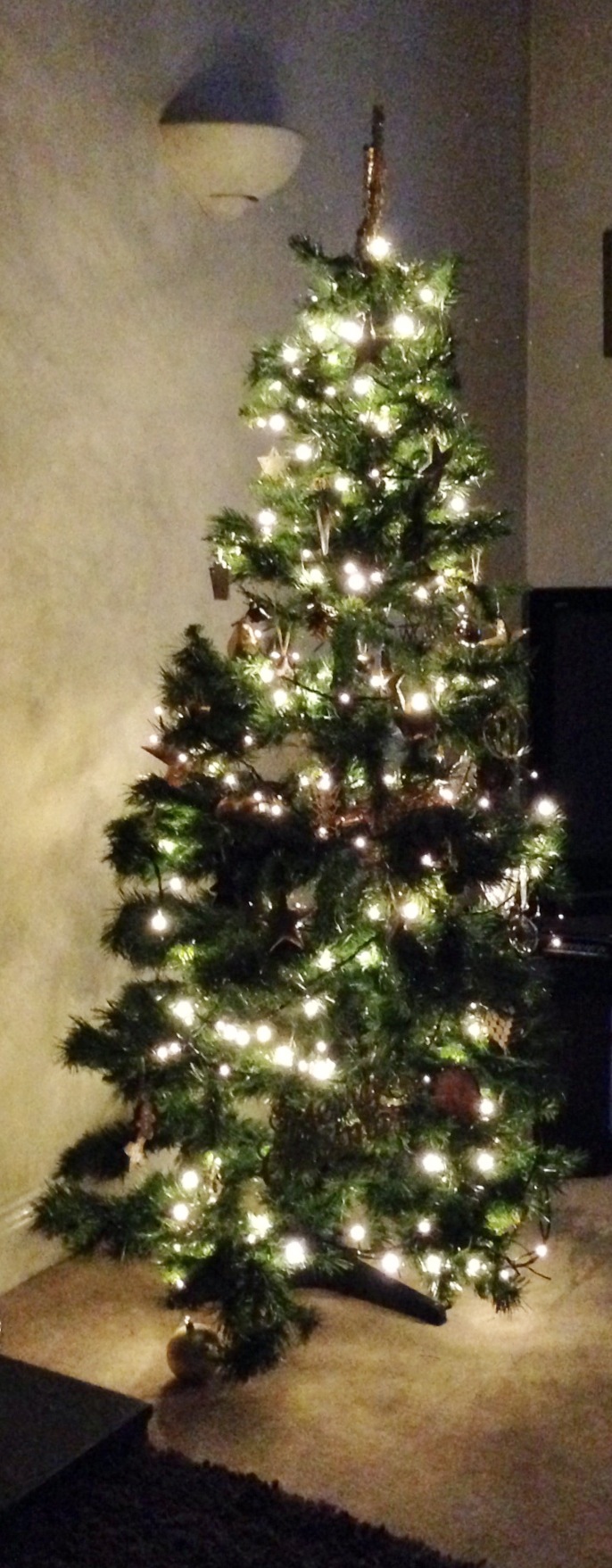 11 December – more Christmas Trees