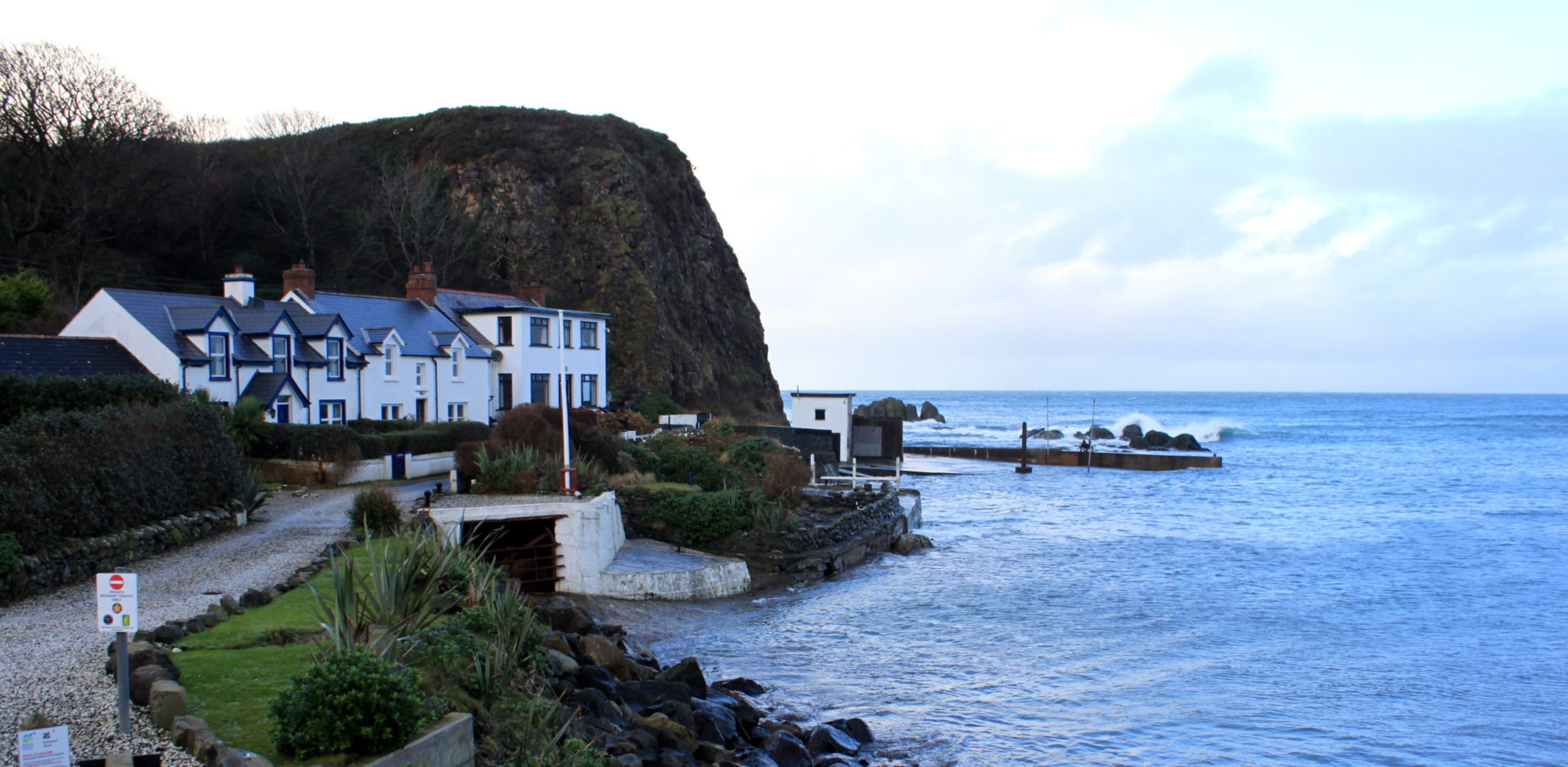 27 December – a blustery day on the beach and a seal!