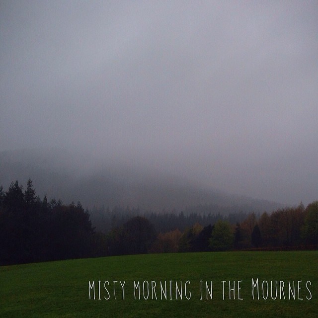 Misty morning in the Mournes (there are mountains somewhere up there!)