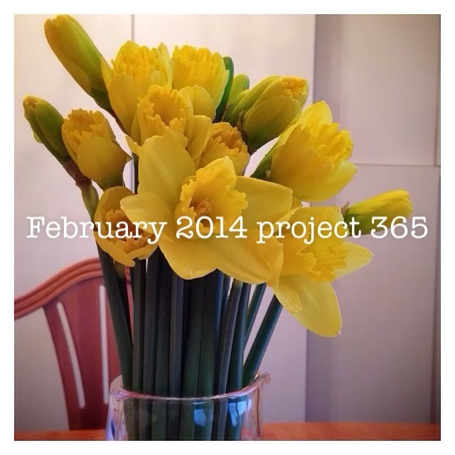 My daily iPhone photos from February 2014. With mum taking ill wasn’t sure I wanted to record this month – but glad I did