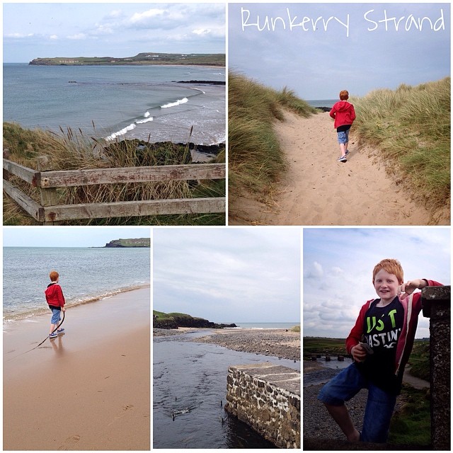Turned out dry this afternoon, despite forecast for rain, so went for walk at Runkerry