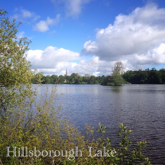 It was a beautiful morning for a walk around Hillsborough Lake today 154/365