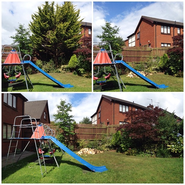 Now you see it ….. now you don't! Large tree removed from back garden