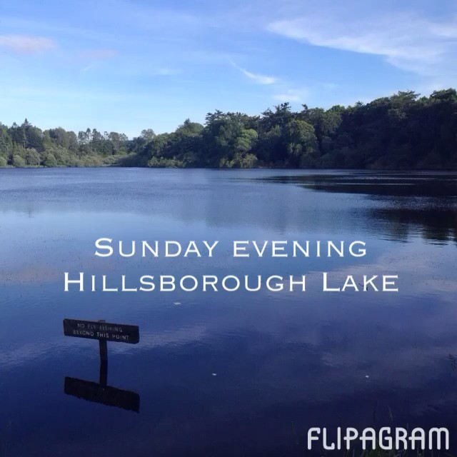 Sunday evening  Hillsborough Lake#flipagram♫ Music: Louis Armstrong – What a Wonderful World