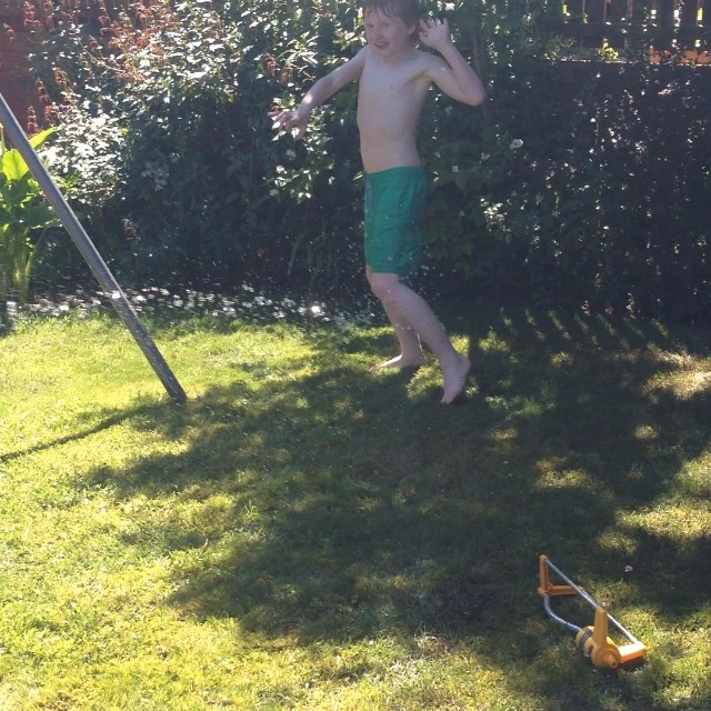 Perfect day to get soaked in the garden!