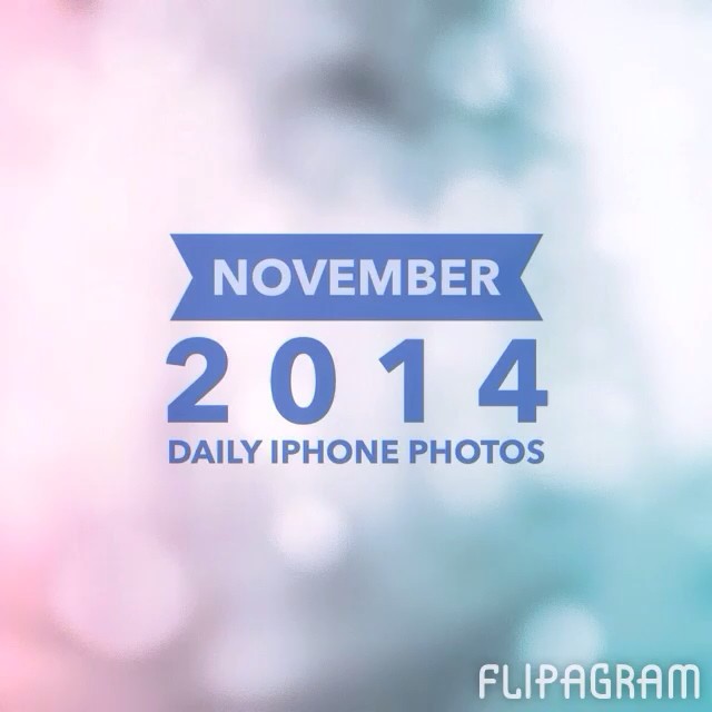 November in daily iPhone photos