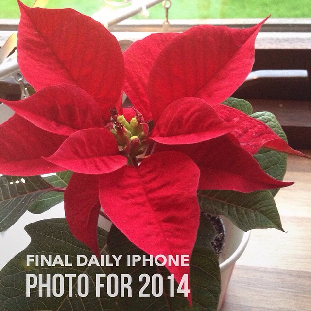 Final daily iPhone photo for 2014 – I made it! 365/365