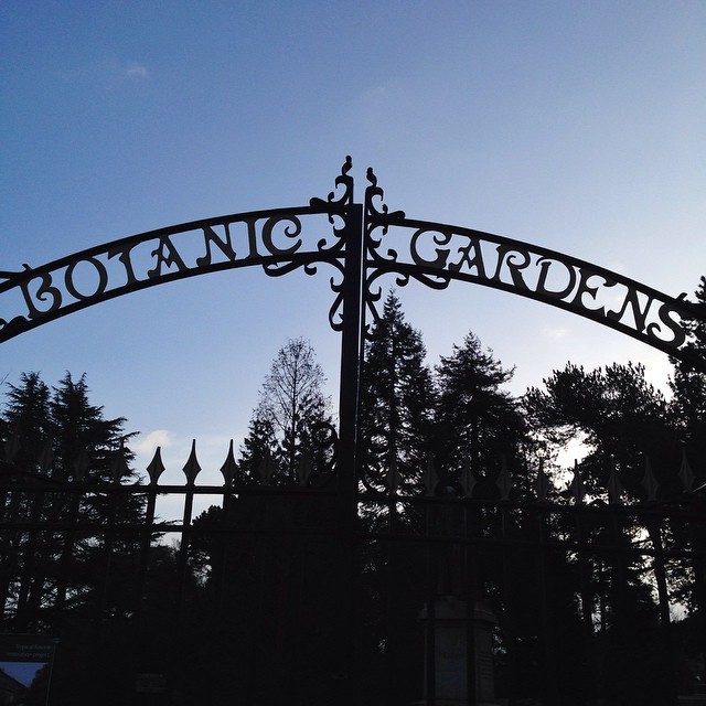 Botanic Gardens, Belfast