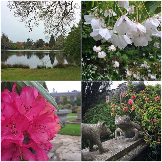 Some more iPhone photos from Mount Stewart today