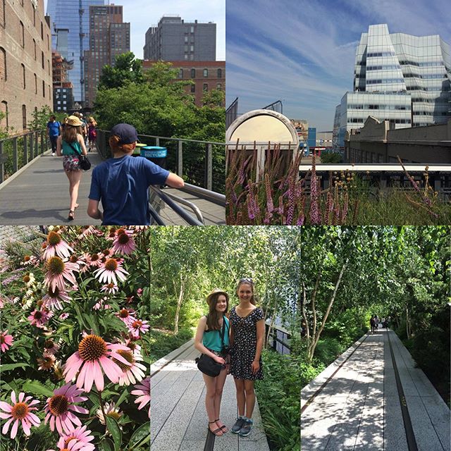 Enjoyed exploring the High Line this morning – amazing creative use of space in New York city