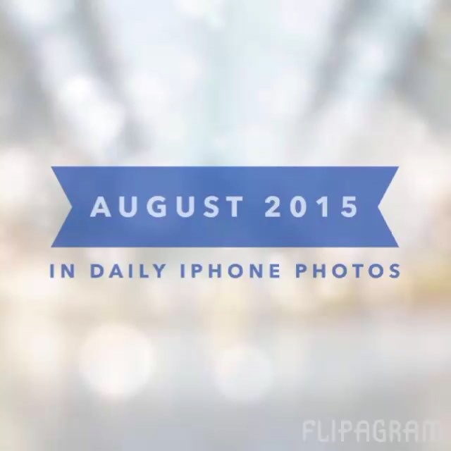 My daily iPhone photos for August 2015