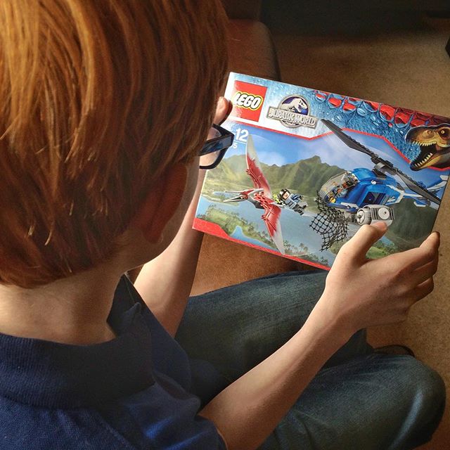 Pocket money saved up to buy Lego Jurassic World … worth the wait