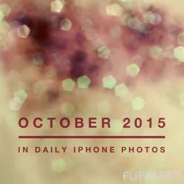 My daily iPhone photos for October 2015