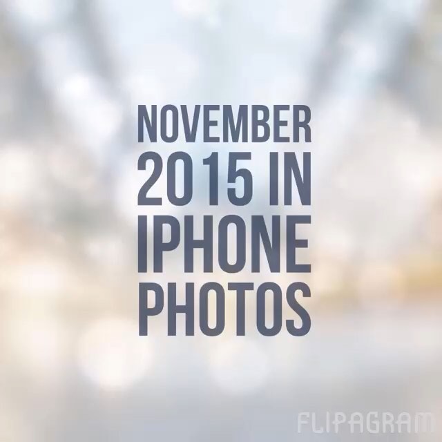 My daily iPhone photos in November 2015 #project365 #monthlyrecap