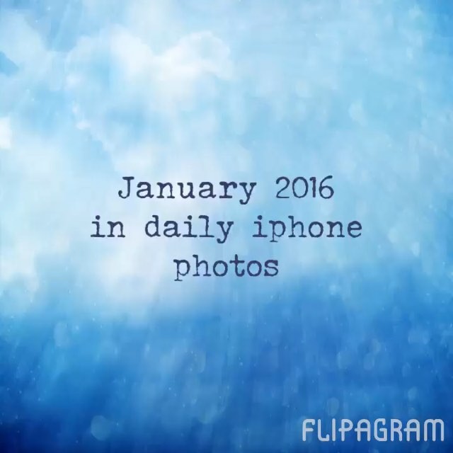 January 2015 in daily iPhone photos