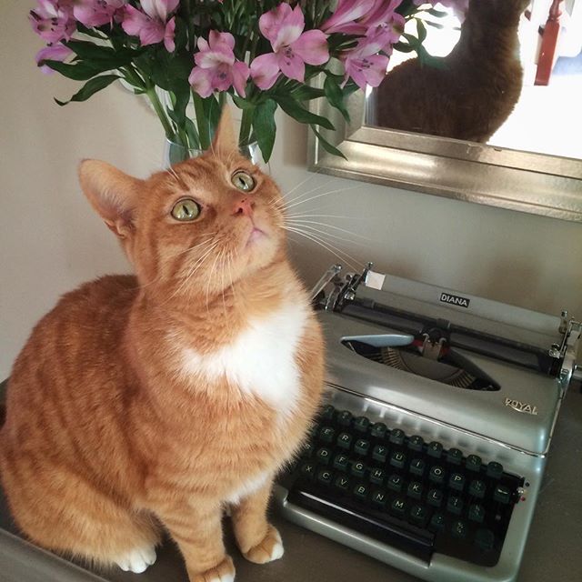 Garfield and the vintage typewriter