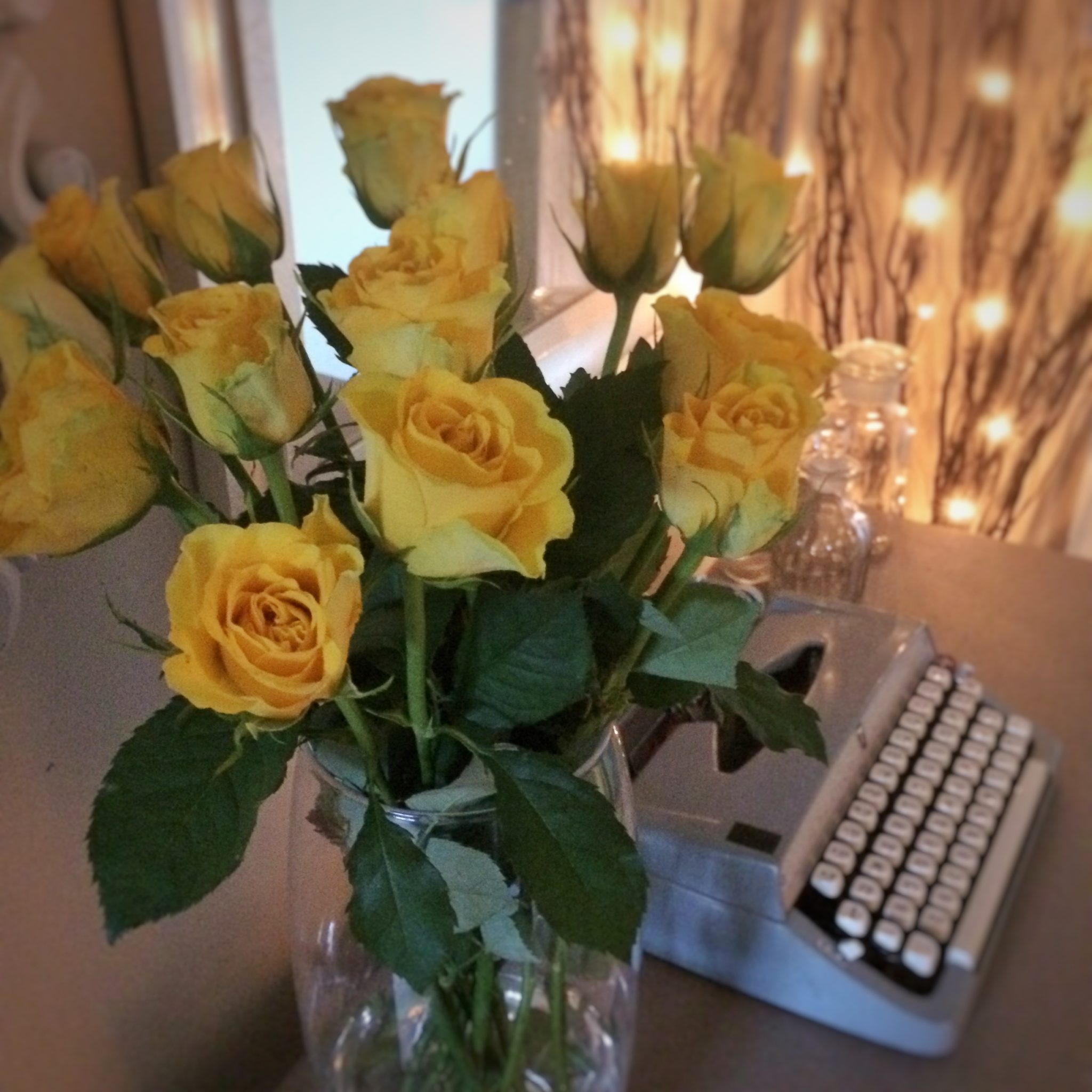 Early Valentine’s roses