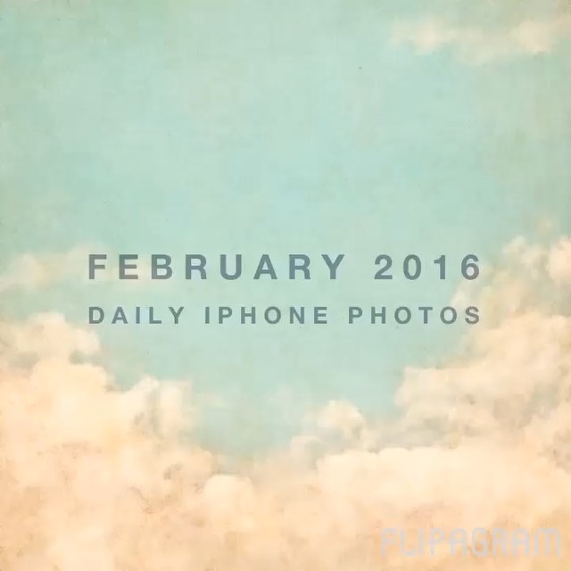 My daily iPhone photos in February 2016