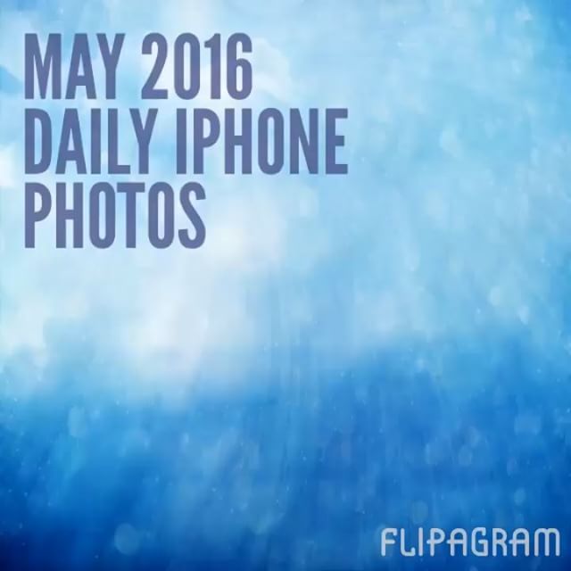 May 2016 in daily iPhone photos