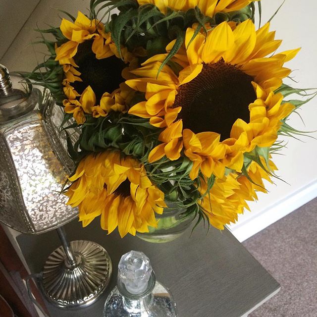 – sunflowers –