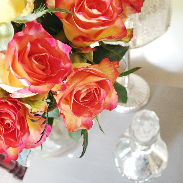 – roses –