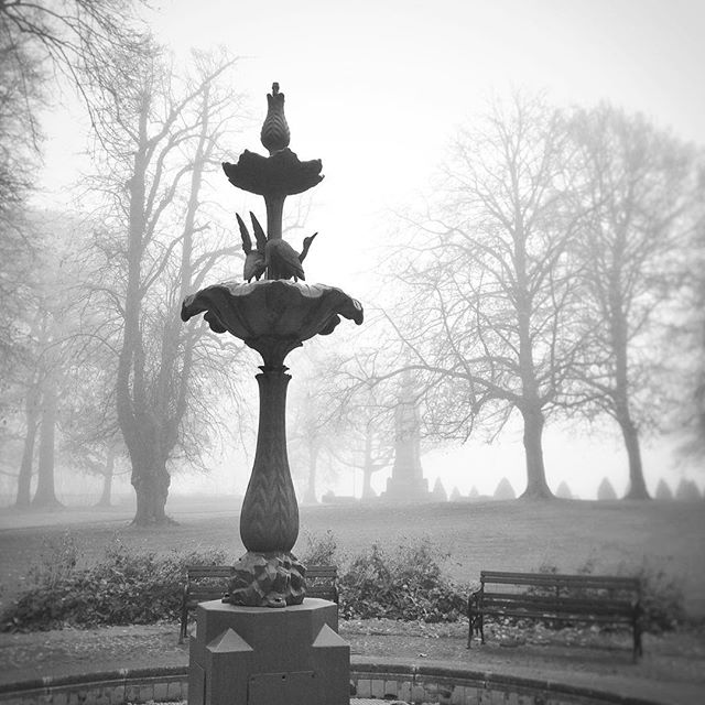 Foggy frosty morning in Castle Gardens, Lisburn