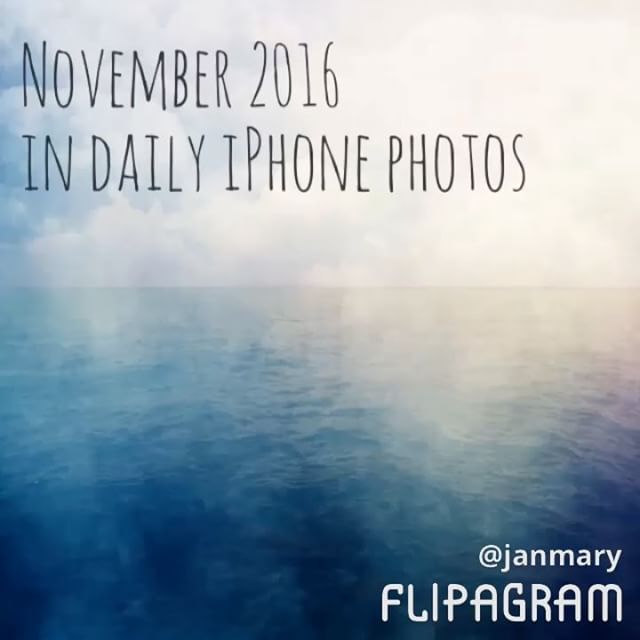 Another month completed – daily iPhone photos for November