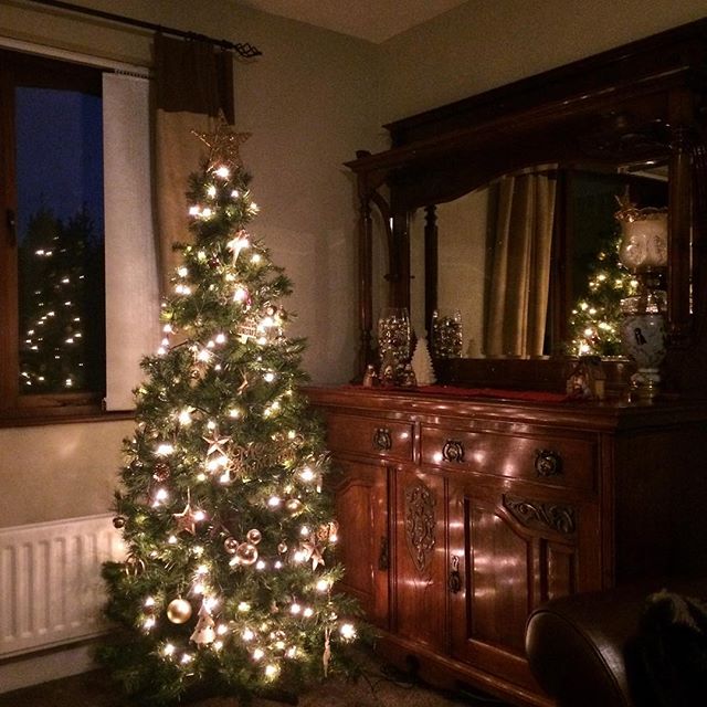 Christmas tree reflections