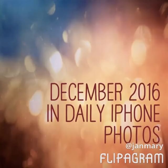 December 2016 in daily iPhone photos