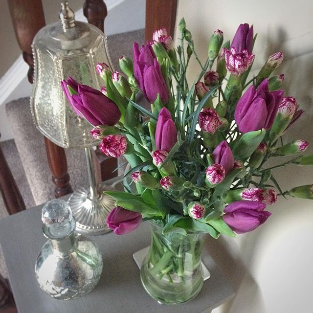 Purple tulips and carnations to brighten up a gloomy Monday