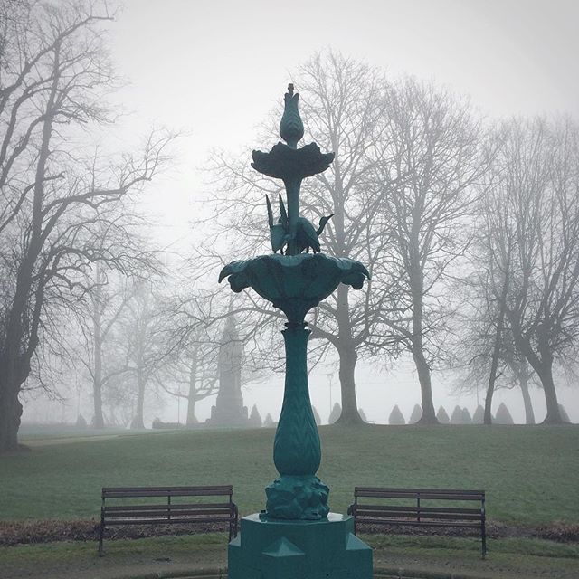 Foggy February morning in Castle Gardens, Lisburn