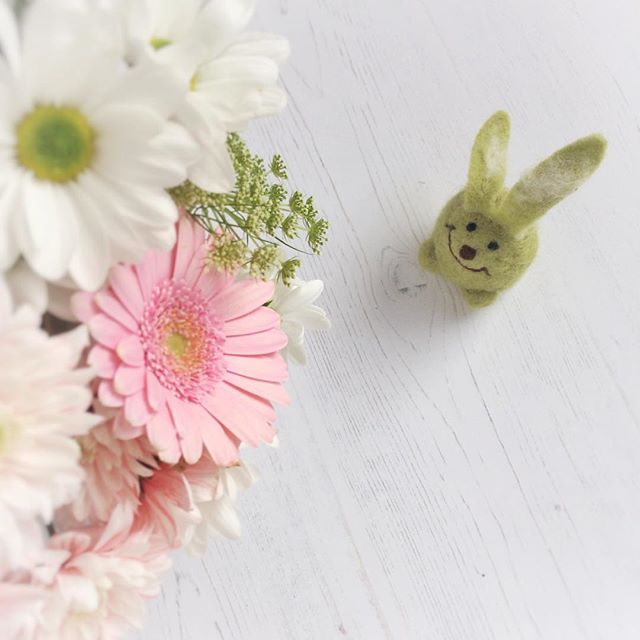 Spring bunny
