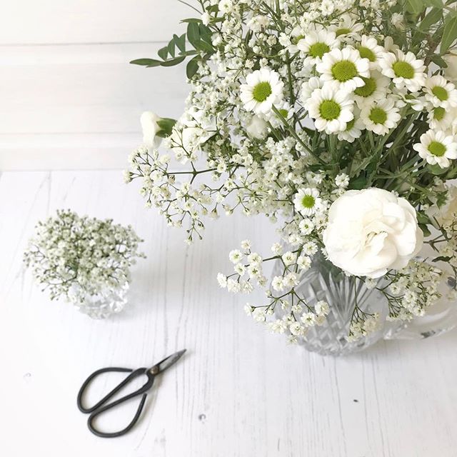 Fresh white flowers in the shed….who needs colour?!!