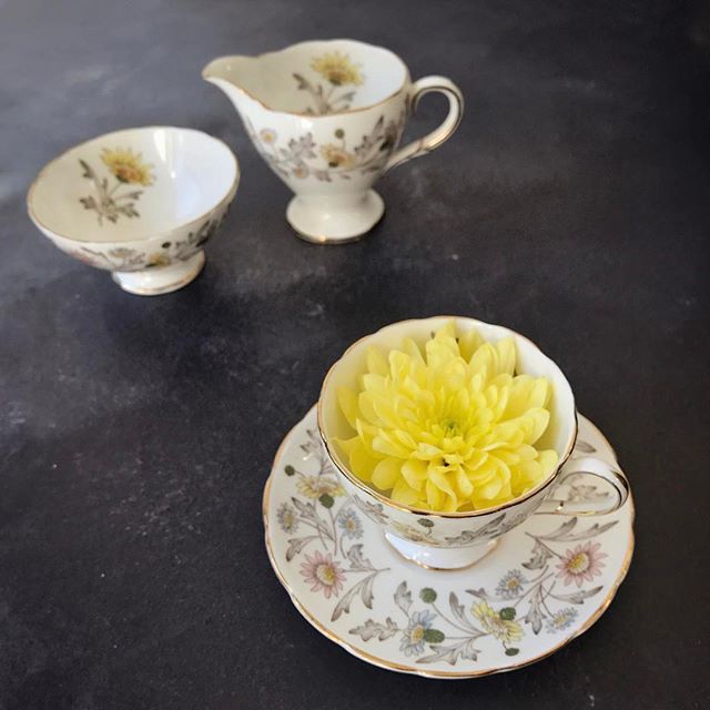 Vintage china and a yellow chrysanthemum