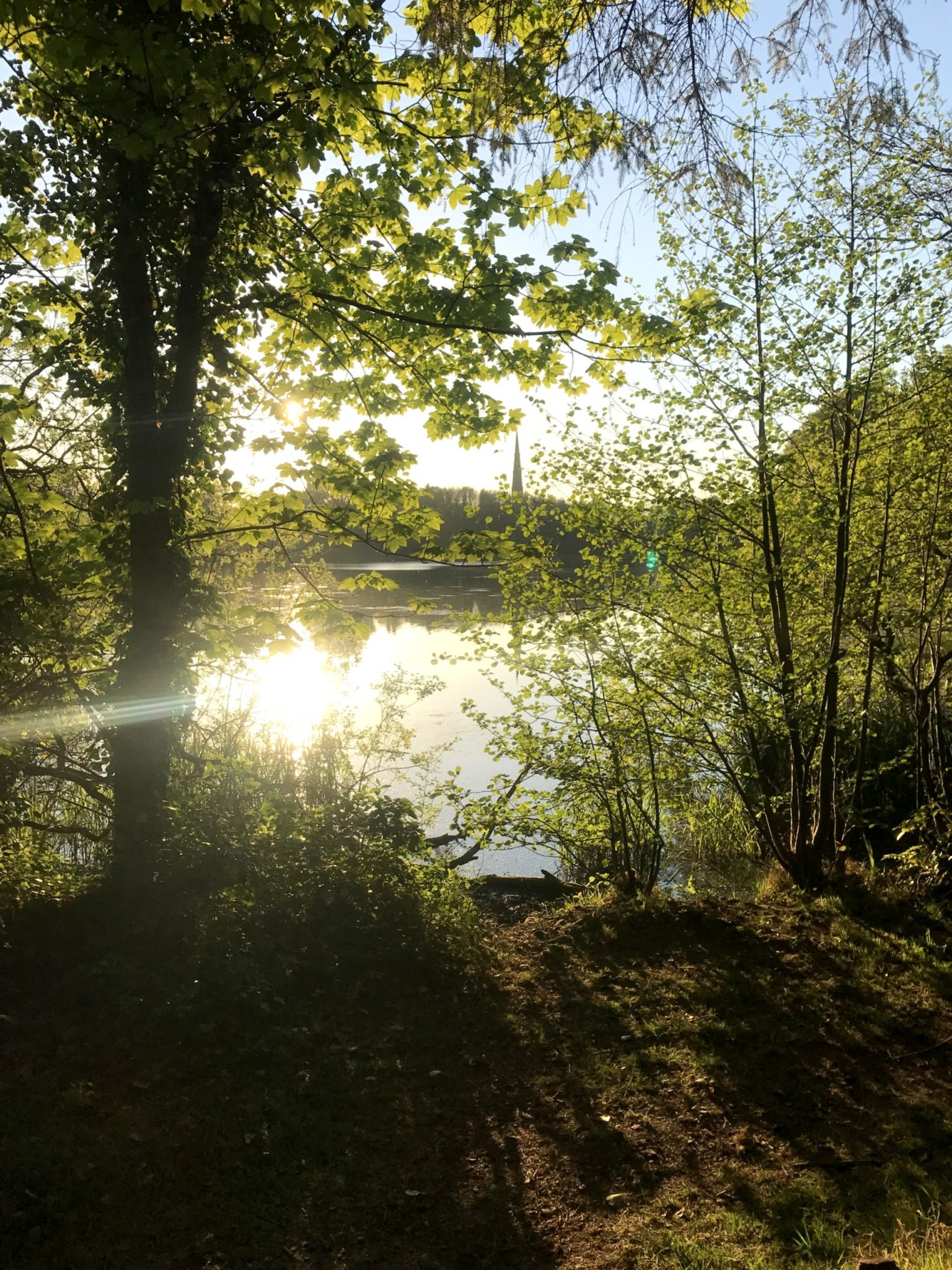 An evening walk around Hillsborough lake
