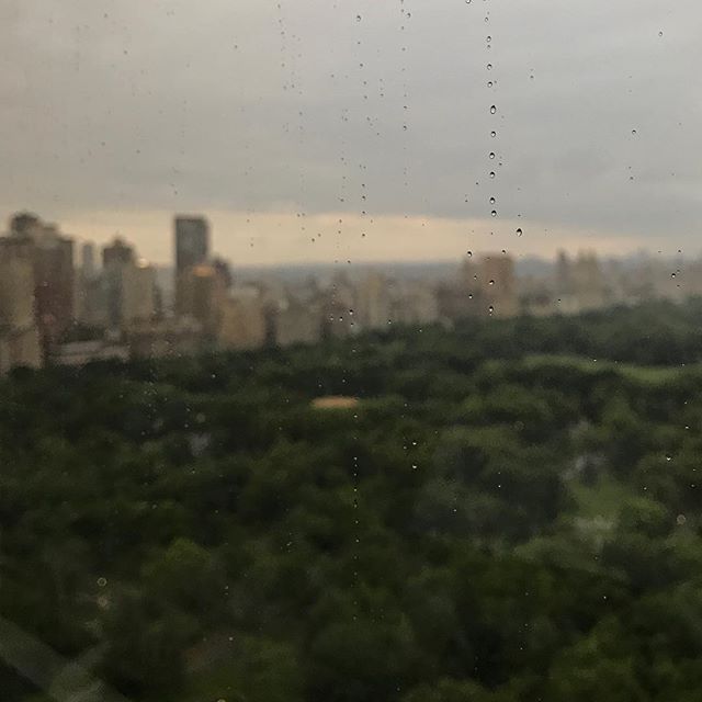 Still a stunning view of Central Park even with a little rain