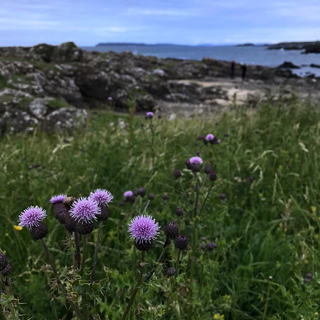 Evening at Dunseverick