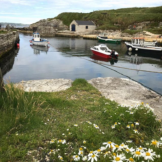 Ballintoy Harbour – good to be back up at the North Coast