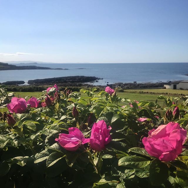 Sunny afternoon in Portballintrae