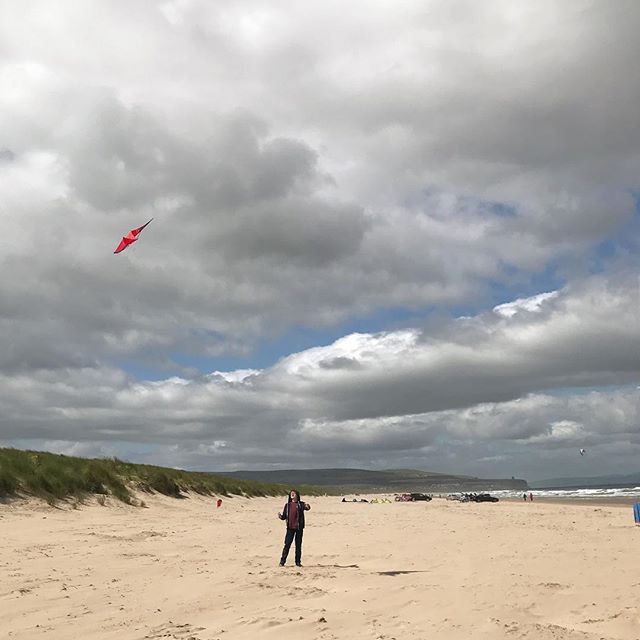Let's go fly a kite……