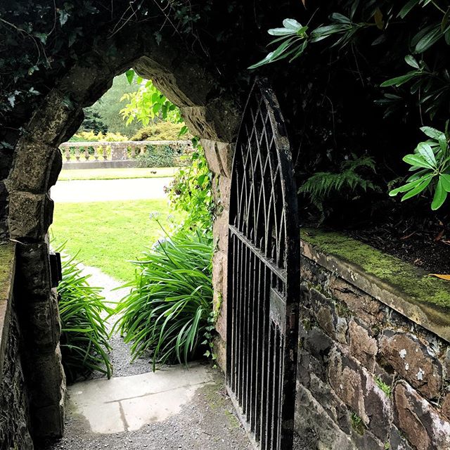 Love this gate in Castlewellan Arboretum