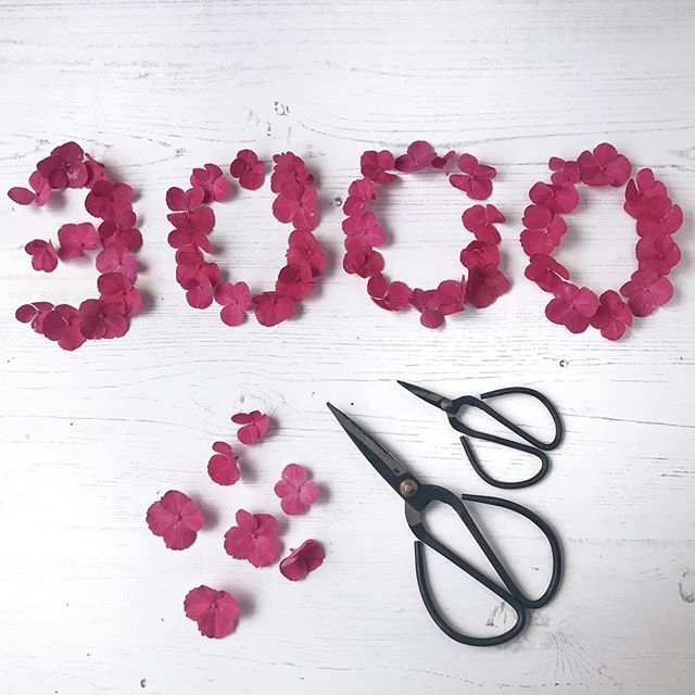 This is my 3000th picture on Instagram!