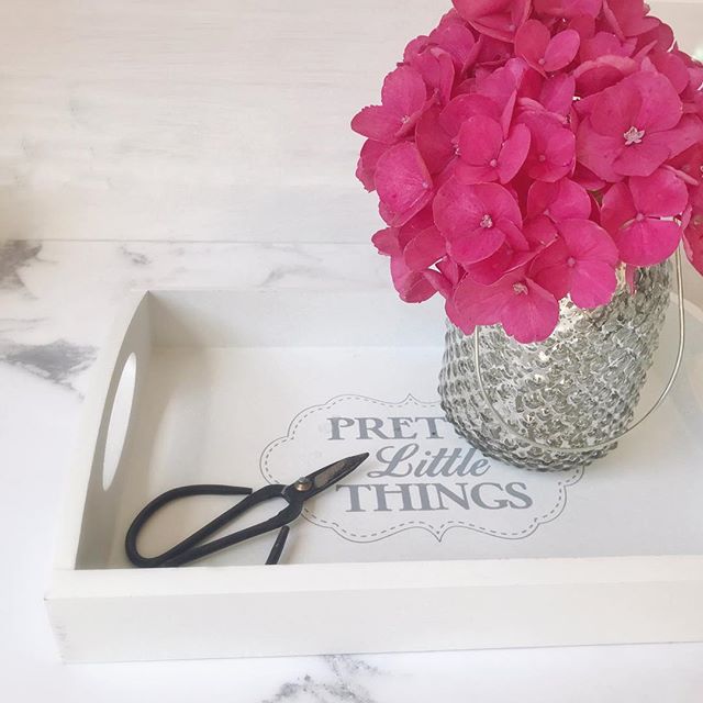 Pretty little things…..pink hydrangea