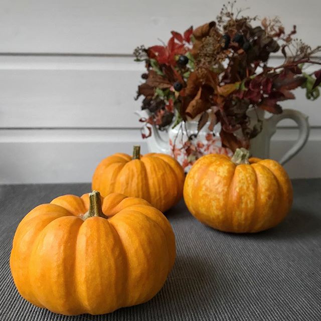 Mini pumpkins!