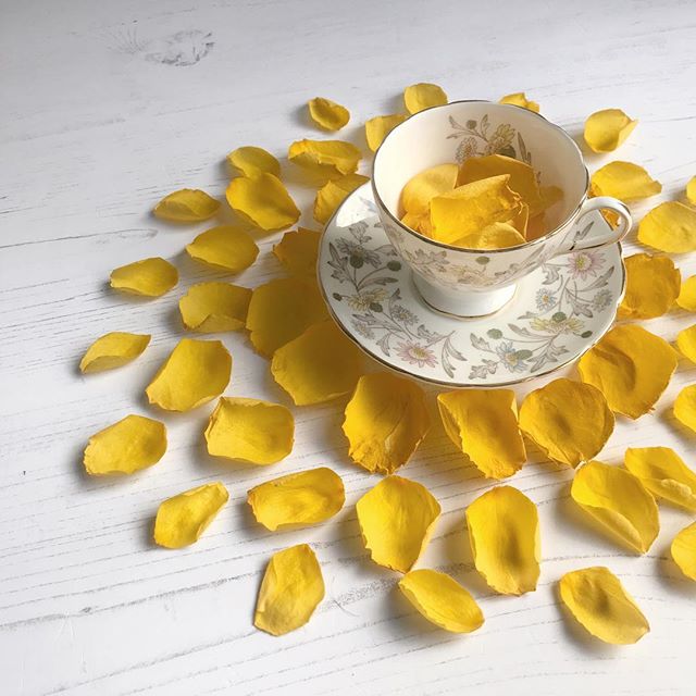 Faded yellow rose petals and vintage china