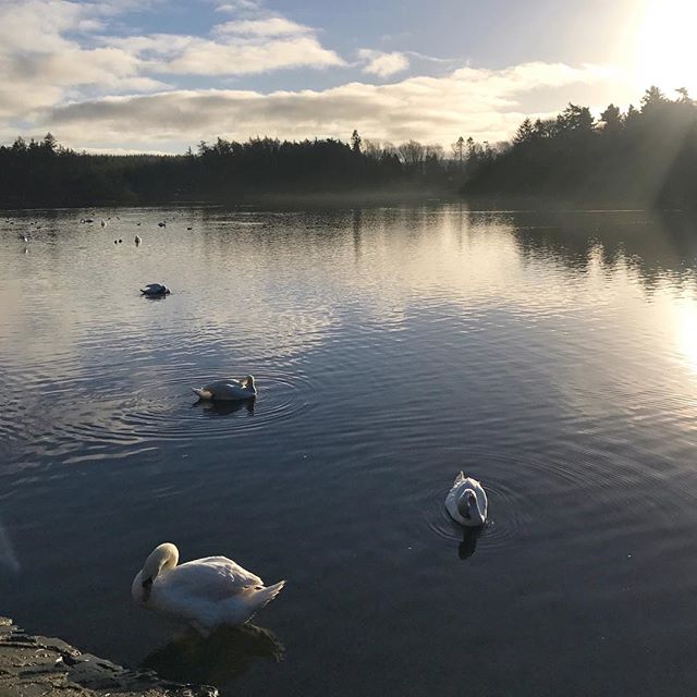Beautiful morning fir a walk and catch-up with a friend at Hillsborough lake