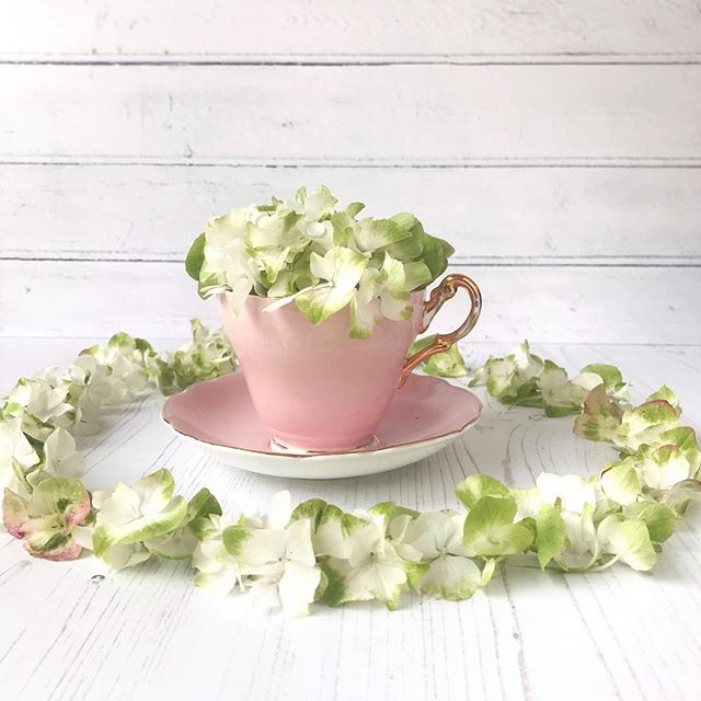 Pretty petals in a pink teacup