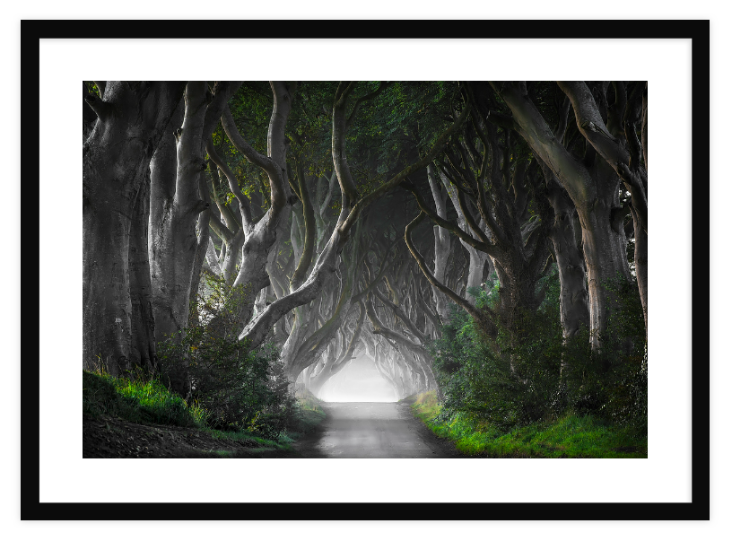 A review of ordering with Photowall – the Dark Hedges